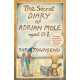 The Secret Diary of Adrian Mole Aged 13 3/4 by ''Sue Townsend''